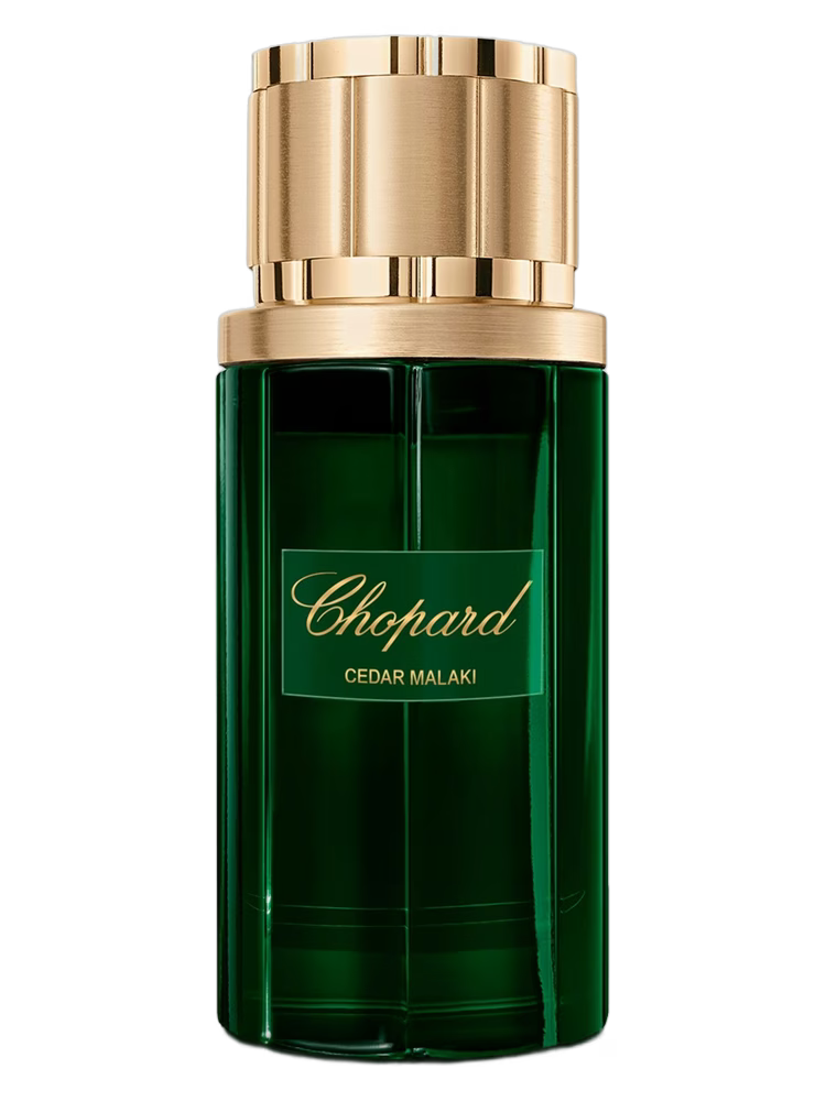 CEDAR MALAKI