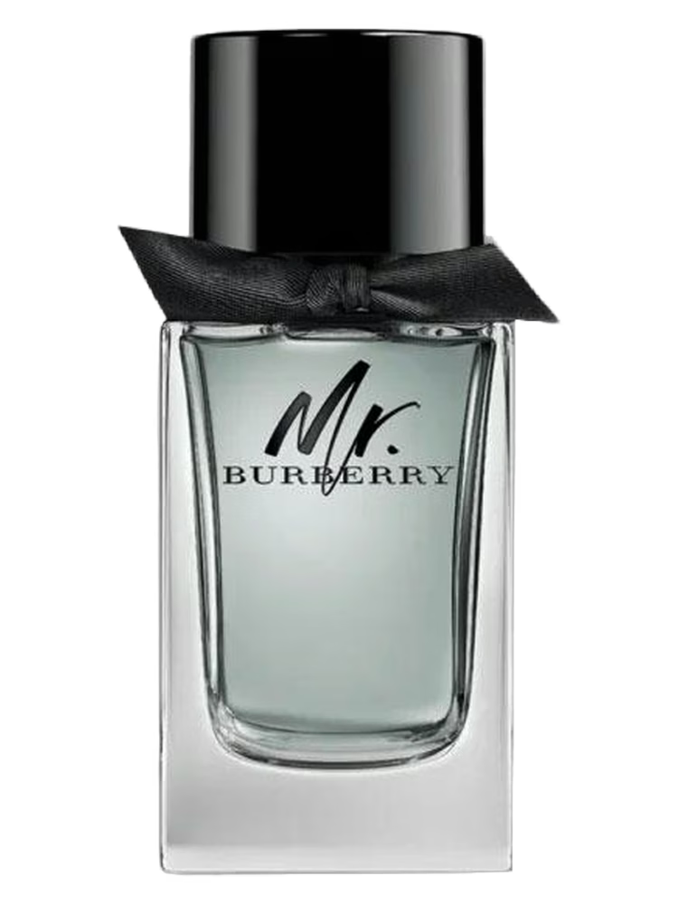MR BURBERRY MAN