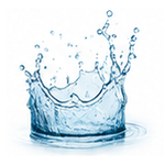 Aquatic