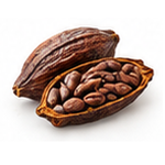 Cacao