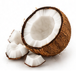 Coconut
