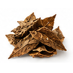 Tobacco