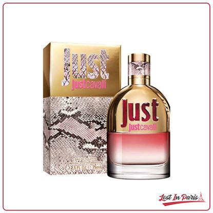 Picture of Just Cavalli