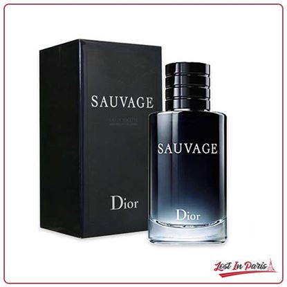 Christian Dior Sauvage Perfume For Man EDT 100ml Price In Pakistan